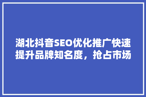 湖北抖音SEO优化推广快速提升品牌知名度，抢占市场先机