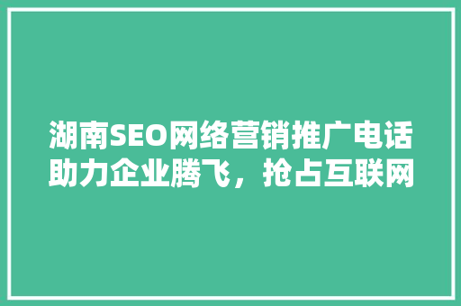 湖南SEO网络营销推广电话助力企业腾飞，抢占互联网蓝海市场