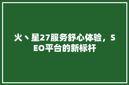 火丶星27服务舒心体验，SEO平台的新标杆
