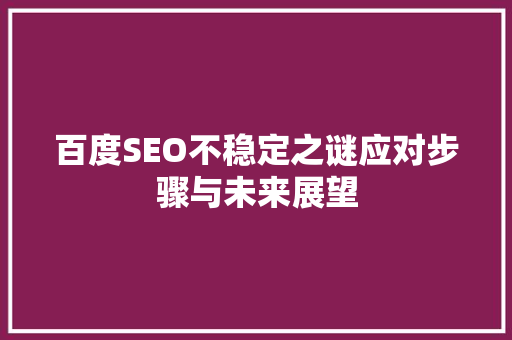 百度SEO不稳定之谜应对步骤与未来展望