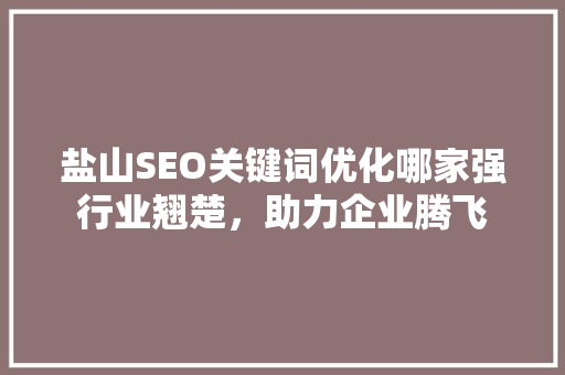 盐山SEO关键词优化哪家强行业翘楚，助力企业腾飞  第1张