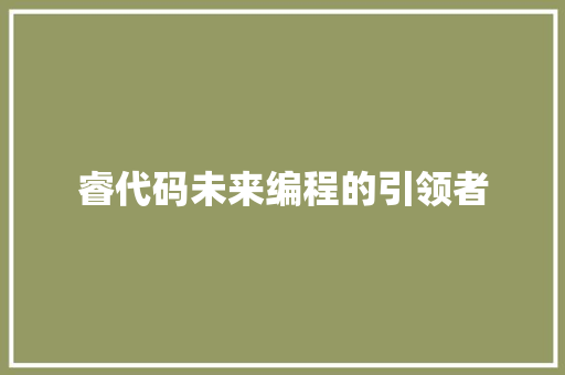 睿代码未来编程的引领者