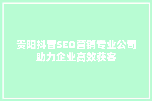 贵阳抖音SEO营销专业公司助力企业高效获客