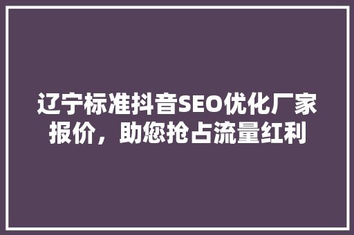 辽宁标准抖音SEO优化厂家报价，助您抢占流量红利