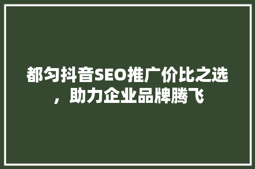 都匀抖音SEO推广价比之选，助力企业品牌腾飞