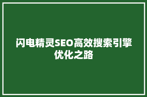 闪电精灵SEO高效搜索引擎优化之路