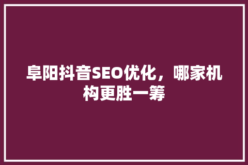 阜阳抖音SEO优化，哪家机构更胜一筹