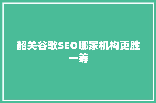 韶关谷歌SEO哪家机构更胜一筹