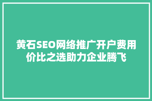 黄石SEO网络推广开户费用价比之选助力企业腾飞