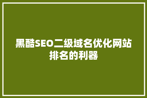 黑酷SEO二级域名优化网站排名的利器