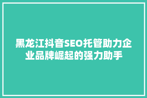 黑龙江抖音SEO托管助力企业品牌崛起的强力助手