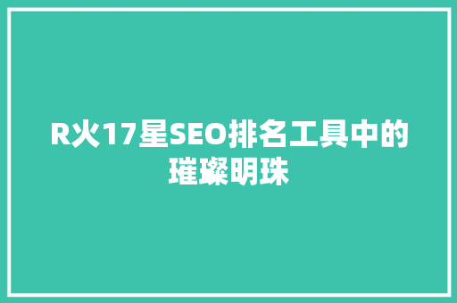 R火17星SEO排名工具中的璀璨明珠