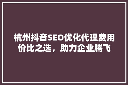 杭州抖音SEO优化代理费用价比之选，助力企业腾飞