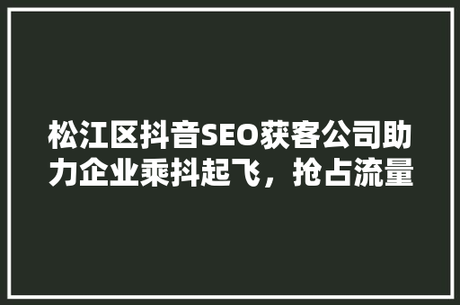 松江区抖音SEO获客公司助力企业乘抖起飞，抢占流量高地