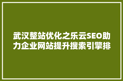 武汉整站优化之乐云SEO助力企业网站提升搜索引擎排名