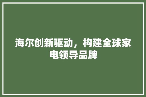 海尔创新驱动，构建全球家电领导品牌