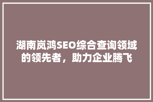 湖南岚鸿SEO综合查询领域的领先者，助力企业腾飞