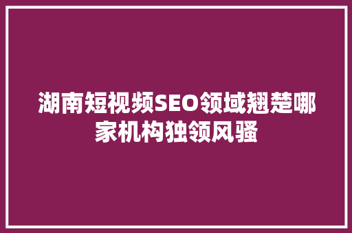 湖南短视频SEO领域翘楚哪家机构独领风骚