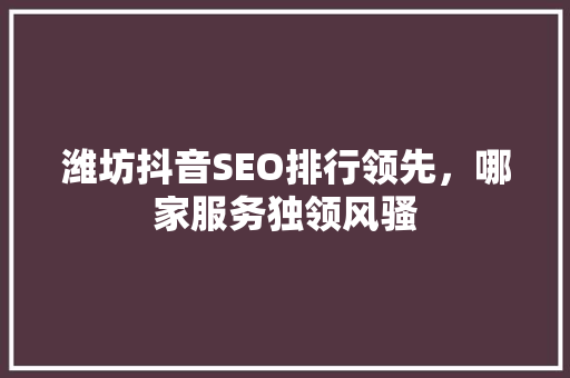 潍坊抖音SEO排行领先，哪家服务独领风骚
