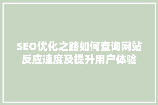 SEO优化之路如何查询网站反应速度及提升用户体验