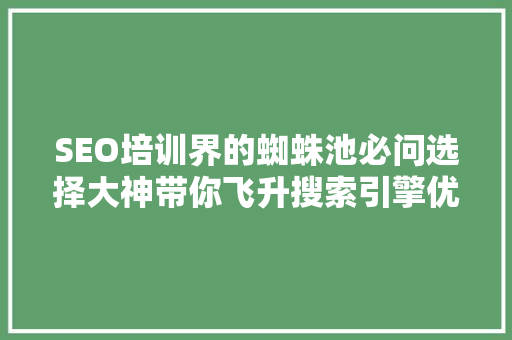 SEO培训界的蜘蛛池必问选择大神带你飞升搜索引擎优化之路