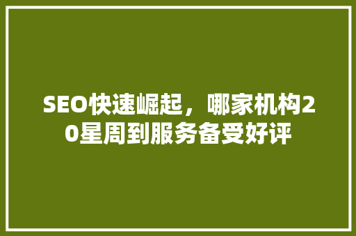 SEO快速崛起，哪家机构20星周到服务备受好评
