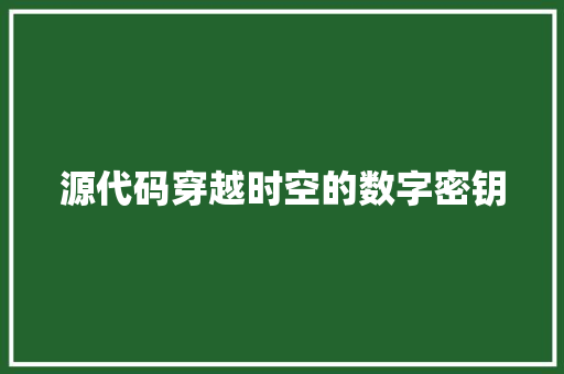 源代码穿越时空的数字密钥