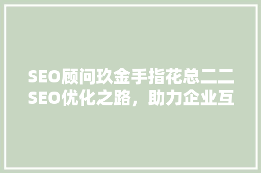 SEO顾问玖金手指花总二二SEO优化之路，助力企业互联网营销腾飞