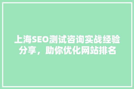 上海SEO测试咨询实战经验分享，助你优化网站排名