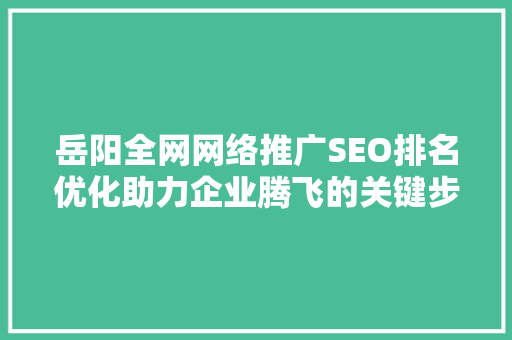 岳阳全网网络推广SEO排名优化助力企业腾飞的关键步骤
