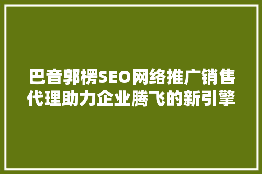 巴音郭楞SEO网络推广销售代理助力企业腾飞的新引擎
