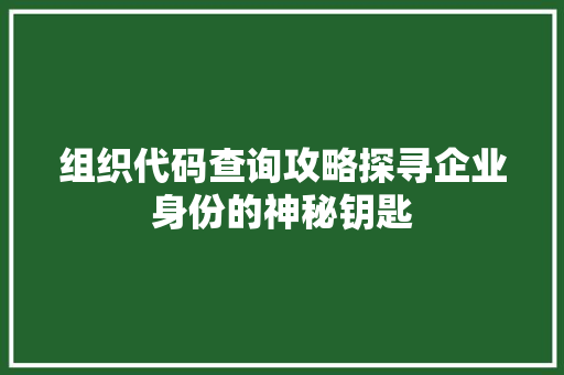 组织代码查询攻略探寻企业身份的神秘钥匙