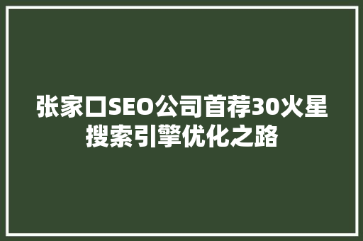 张家口SEO公司首荐30火星搜索引擎优化之路