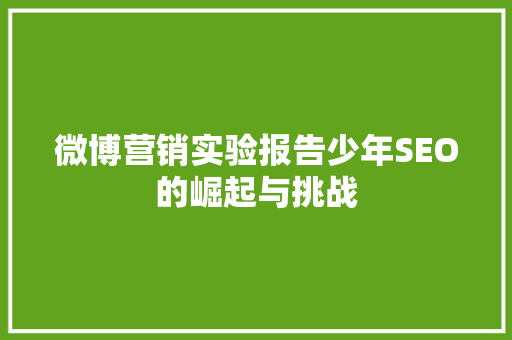 微博营销实验报告少年SEO的崛起与挑战