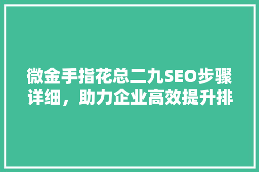 微金手指花总二九SEO步骤详细，助力企业高效提升排名