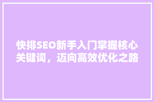 快排SEO新手入门掌握核心关键词，迈向高效优化之路  第1张