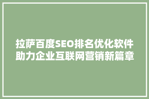拉萨百度SEO排名优化软件助力企业互联网营销新篇章