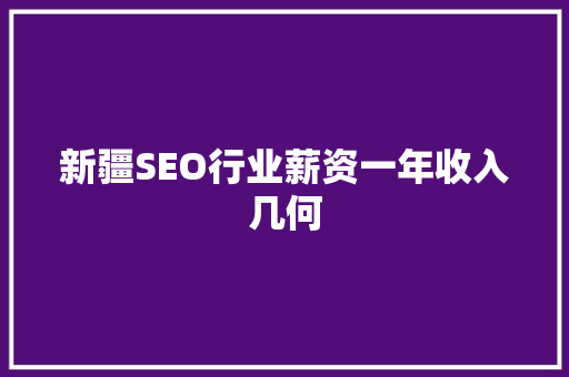新疆SEO行业薪资一年收入几何