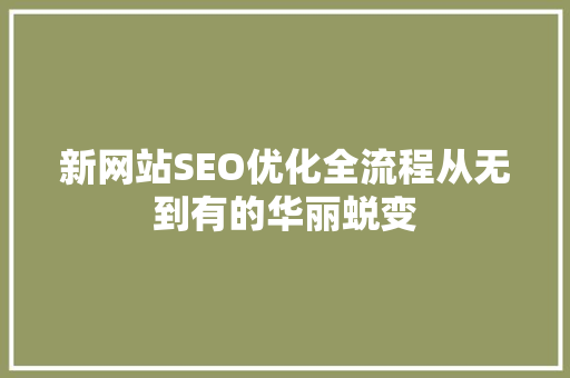 新网站SEO优化全流程从无到有的华丽蜕变