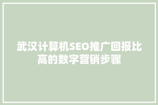 武汉计算机SEO推广回报比高的数字营销步骤