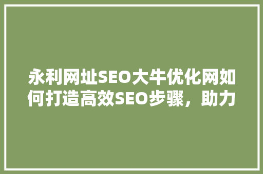永利网址SEO大牛优化网如何打造高效SEO步骤，助力网站流量提升