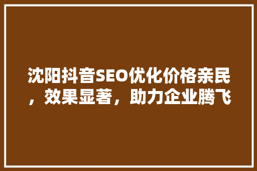 沈阳抖音SEO优化价格亲民，效果显著，助力企业腾飞