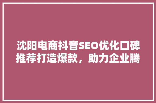 沈阳电商抖音SEO优化口碑推荐打造爆款，助力企业腾飞