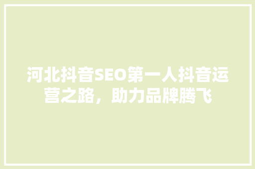 河北抖音SEO第一人抖音运营之路，助力品牌腾飞