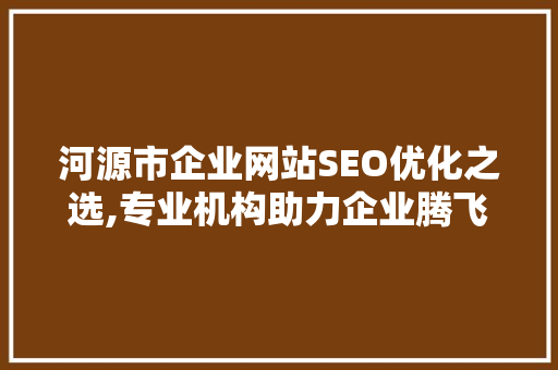河源市企业网站SEO优化之选,专业机构助力企业腾飞