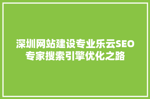 深圳网站建设专业乐云SEO专家搜索引擎优化之路