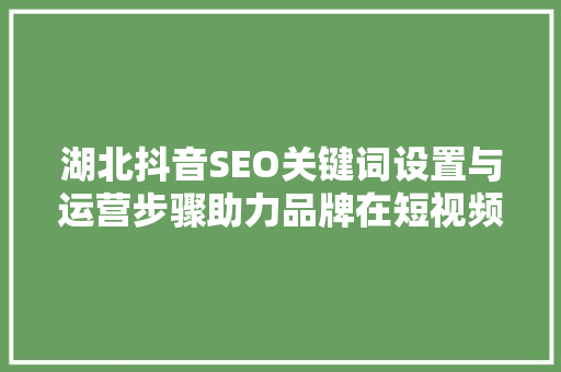 湖北抖音SEO关键词设置与运营步骤助力品牌在短视频平台脱颖而出