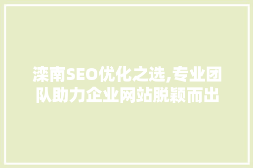 滦南SEO优化之选,专业团队助力企业网站脱颖而出