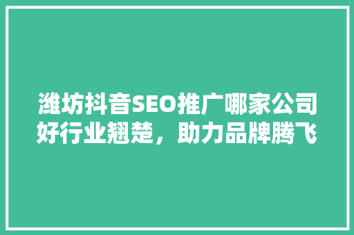 潍坊抖音SEO推广哪家公司好行业翘楚，助力品牌腾飞
