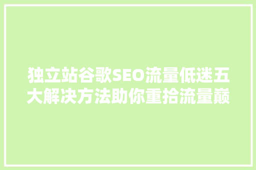 独立站谷歌SEO流量低迷五大解决方法助你重拾流量巅峰